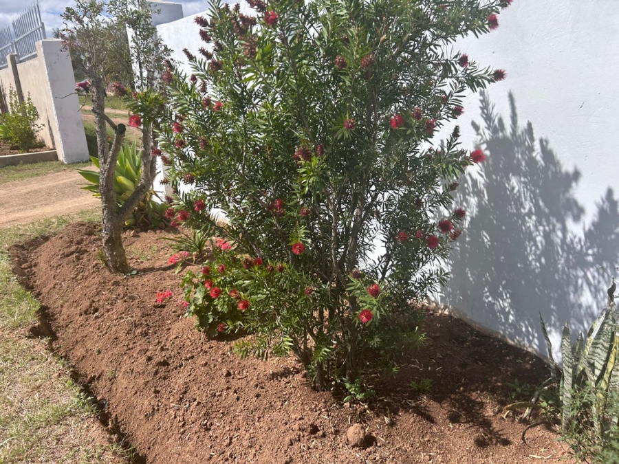 Commercial Property for Sale in Alice Eastern Cape